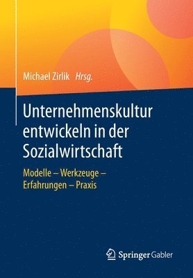 bokomslag Unternehmenskultur entwickeln in der Sozialwirtschaft