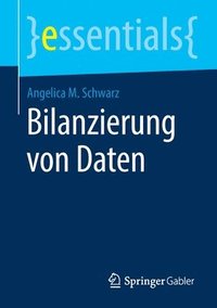 bokomslag Bilanzierung von Daten