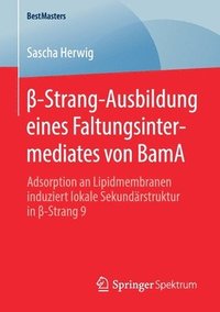 bokomslag -Strang-Ausbildung eines Faltungsintermediates von BamA