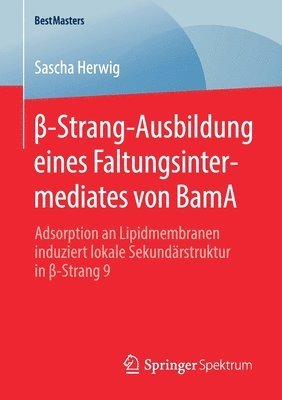 bokomslag ?-Strang-Ausbildung eines Faltungsintermediates von BamA