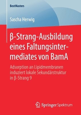 bokomslag -Strang-Ausbildung eines Faltungsintermediates von BamA