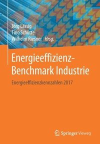 bokomslag Energieeffizienz-Benchmark Industrie