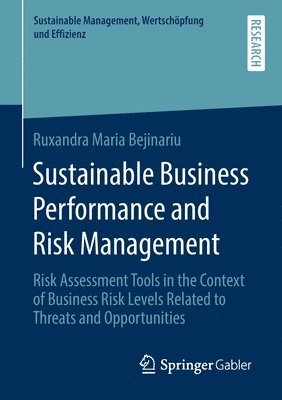 bokomslag Sustainable Business Performance and Risk Management