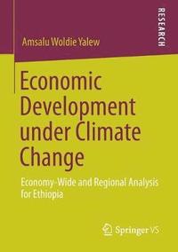 bokomslag Economic Development under Climate Change