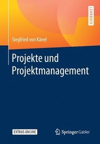 bokomslag Projekte und Projektmanagement