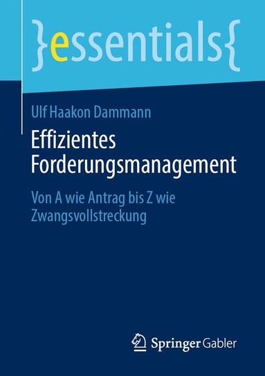 bokomslag Effizientes Forderungsmanagement