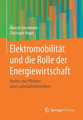 bokomslag Elektromobilität und die Rolle der Energiewirtschaft
