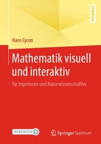 bokomslag Mathematik visuell und interaktiv