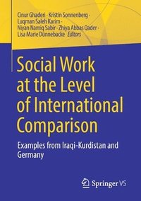 bokomslag Social Work at the Level of International Comparison