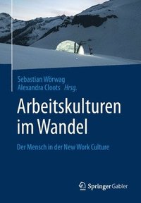 bokomslag Arbeitskulturen im Wandel