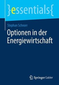 bokomslag Optionen in der Energiewirtschaft