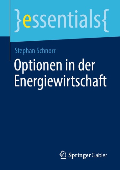 bokomslag Optionen in der Energiewirtschaft