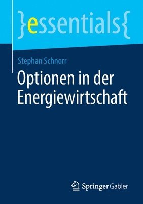 Optionen in der Energiewirtschaft 1