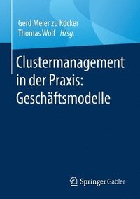 bokomslag Clustermanagement in der Praxis: Geschftsmodelle