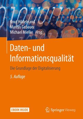 bokomslag Daten- und Informationsqualitat