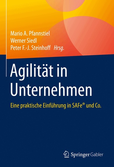 Mario A. Pfannstiel, Werner Siedl, Peter F.-J. Steinhoff - Agilität in Unternehmen, Inbunden