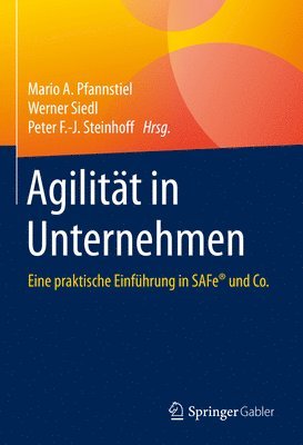 bokomslag Agilität in Unternehmen