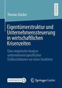 bokomslag Eigentmerstruktur und Unternehmenssteuerung in wirtschaftlichen Krisenzeiten