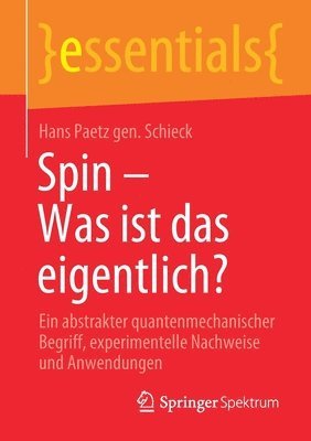 bokomslag Spin - Was ist das eigentlich?