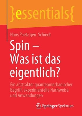 bokomslag Spin  Was ist das eigentlich?