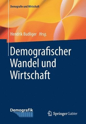 bokomslag Demografischer Wandel und Wirtschaft