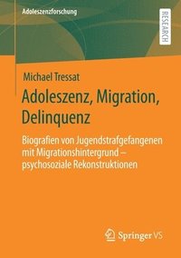 bokomslag Adoleszenz, Migration, Delinquenz
