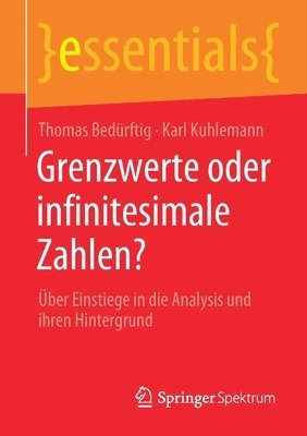 bokomslag Grenzwerte oder infinitesimale Zahlen?