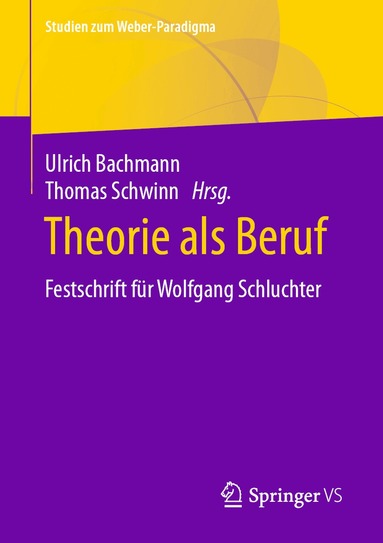 Ulrich Bachmann, Thomas Schwinn - Theorie als Beruf, Häftad