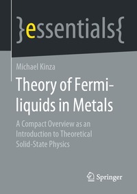 bokomslag Theory of Fermi-liquids in Metals