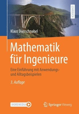 Klaus Dürrschnabel - Mathematik für Ingenieure, Häftad