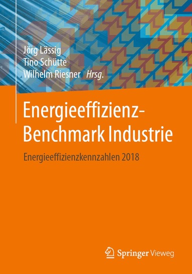 Jörg Lässig, Tino Schütte, Wilhelm Riesner - Energieeffizienz-Benchmark Industrie, Häftad