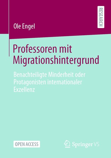 bokomslag Professoren mit Migrationshintergrund