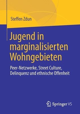 bokomslag Jugend in marginalisierten Wohngebieten