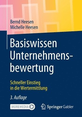 bokomslag Basiswissen Unternehmensbewertung