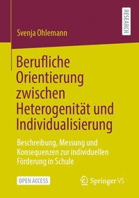 bokomslag Berufliche Orientierung zwischen Heterogenitt und Individualisierung