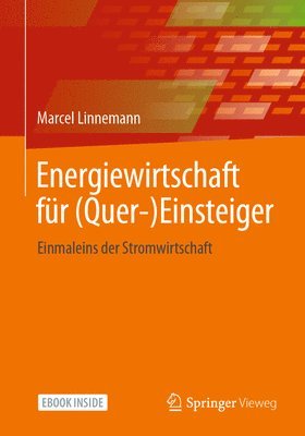 bokomslag Energiewirtschaft fur (Quer-)Einsteiger