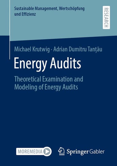 bokomslag Energy Audits