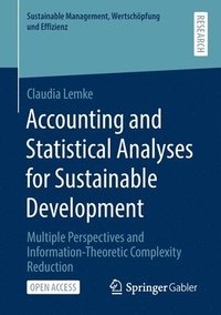 bokomslag Accounting and Statistical Analyses for Sustainable Development