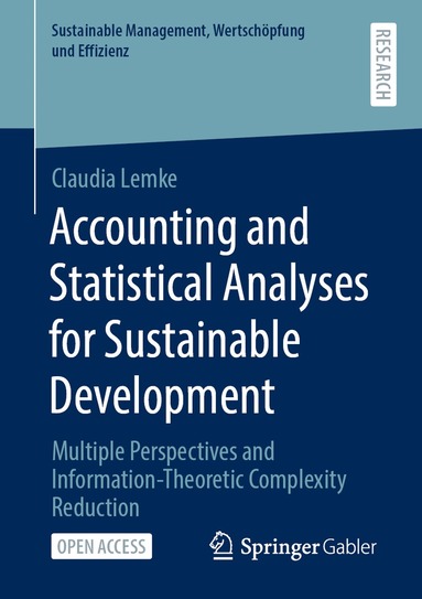 bokomslag Accounting and Statistical Analyses for Sustainable Development