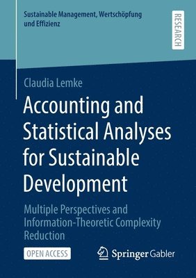 Claudia Lemke - Accounting and Statistical Analyses for Sustainable Development, Häftad
