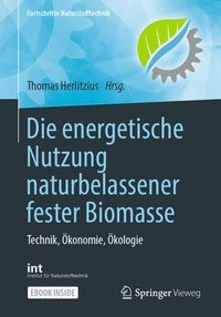 bokomslag Die energetische Nutzung naturbelassener fester Biomasse
