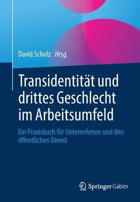 bokomslag Transidentitt und drittes Geschlecht im Arbeitsumfeld