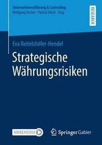 bokomslag Strategische Whrungsrisiken