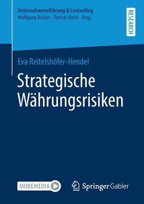 Strategische Whrungsrisiken 1