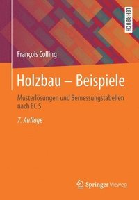 bokomslag Holzbau  Beispiele