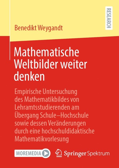 bokomslag Mathematische Weltbilder weiter denken