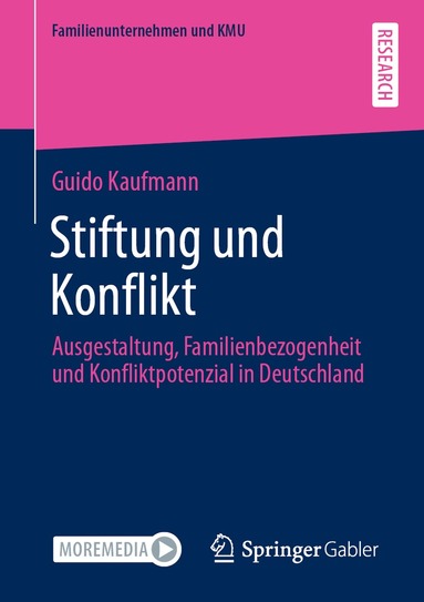 Guido Kaufmann - Stiftung und Konflikt, Häftad