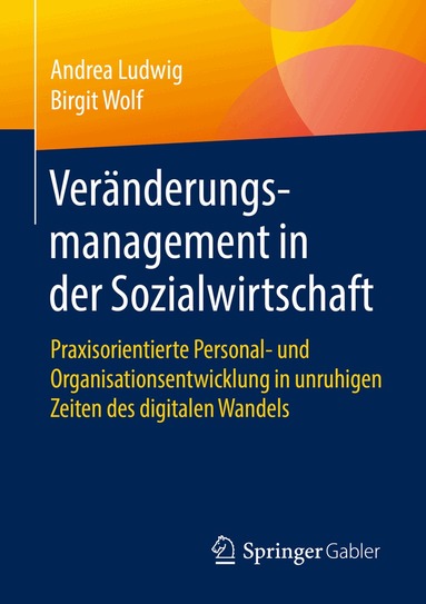 Andrea Ludwig, Birgit Wolf - Veränderungsmanagement in der Sozialwirtschaft, Häftad