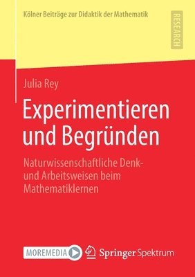 bokomslag Experimentieren und Begrnden