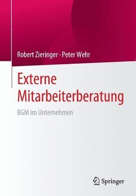 bokomslag Externe Mitarbeiterberatung